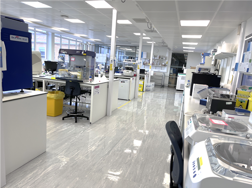 image of a lab